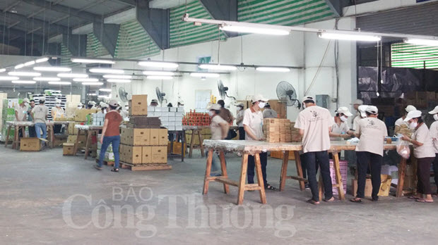  Áp lực cạnh tranh - động lực cho doanh nghiệp gỗ bứt phá